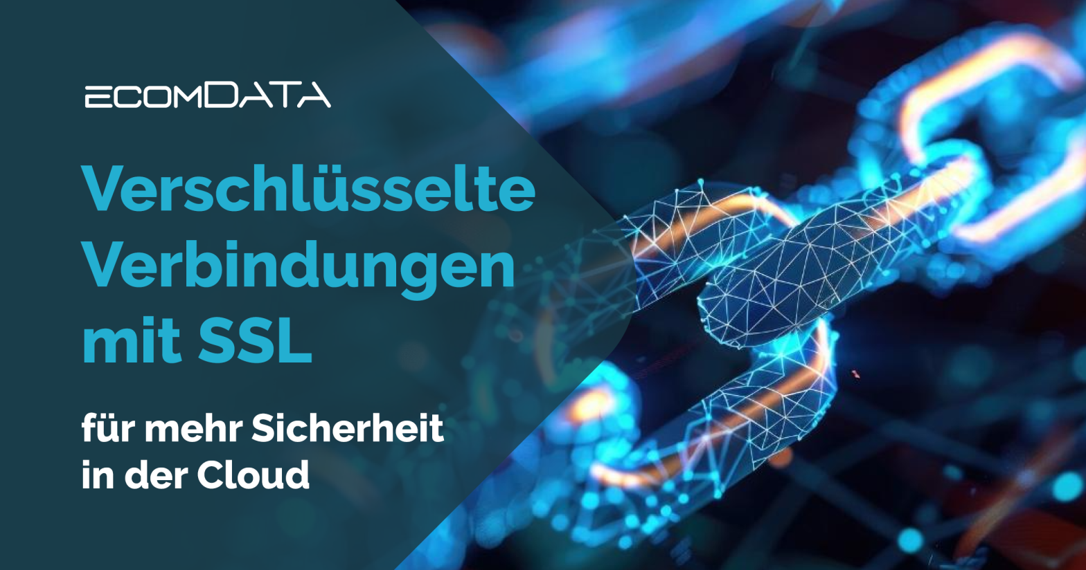 JTL-WAWI Update – so geht's - ecomDATA GmbH